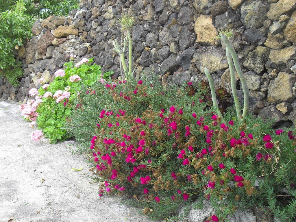 Casa Rural Abuelo Pancho Лас-Касас Экстерьер фото